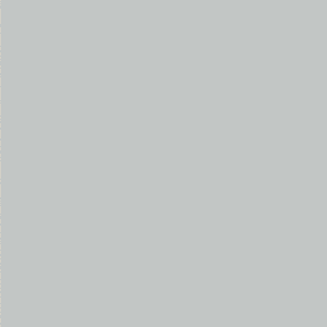SMT18 French Gray