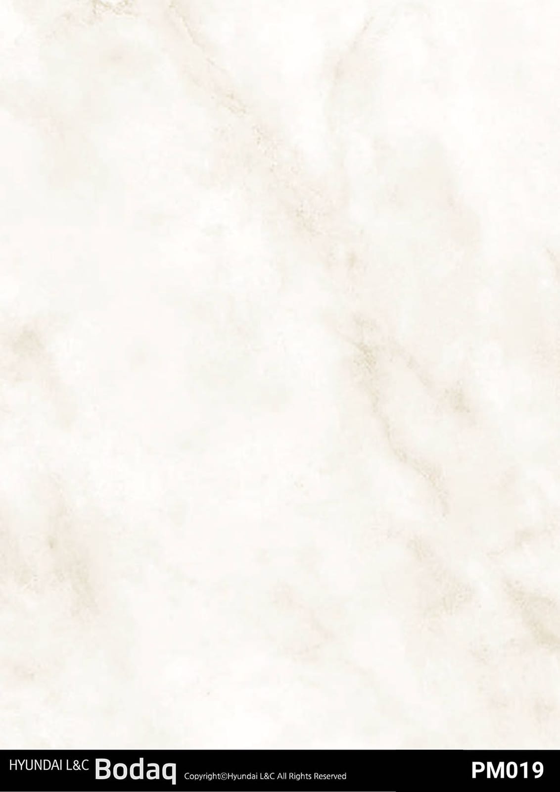 PM019 Venato