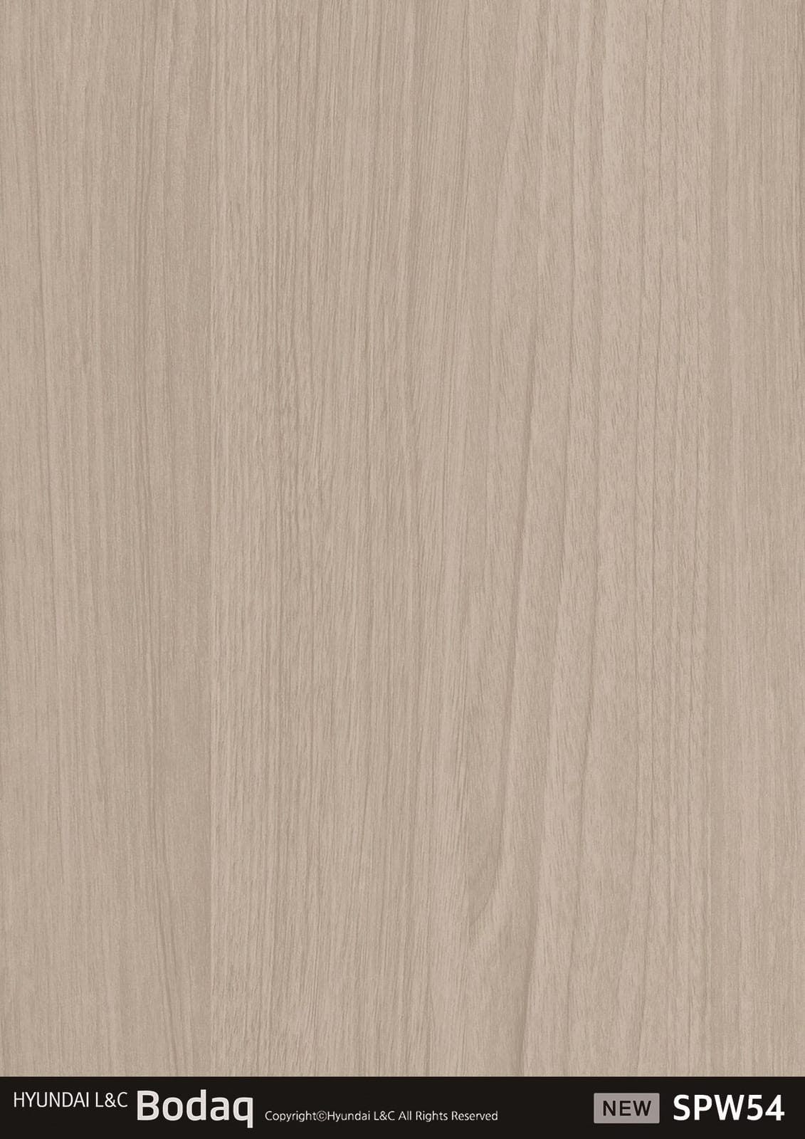 SPW54 Ancient Elder Wood