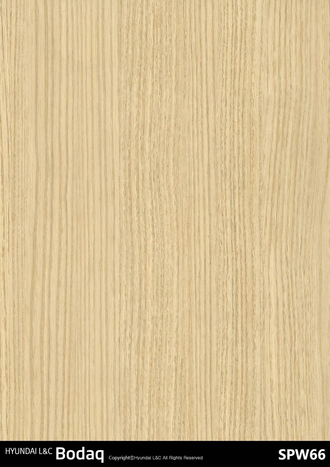 SPW66 Elm