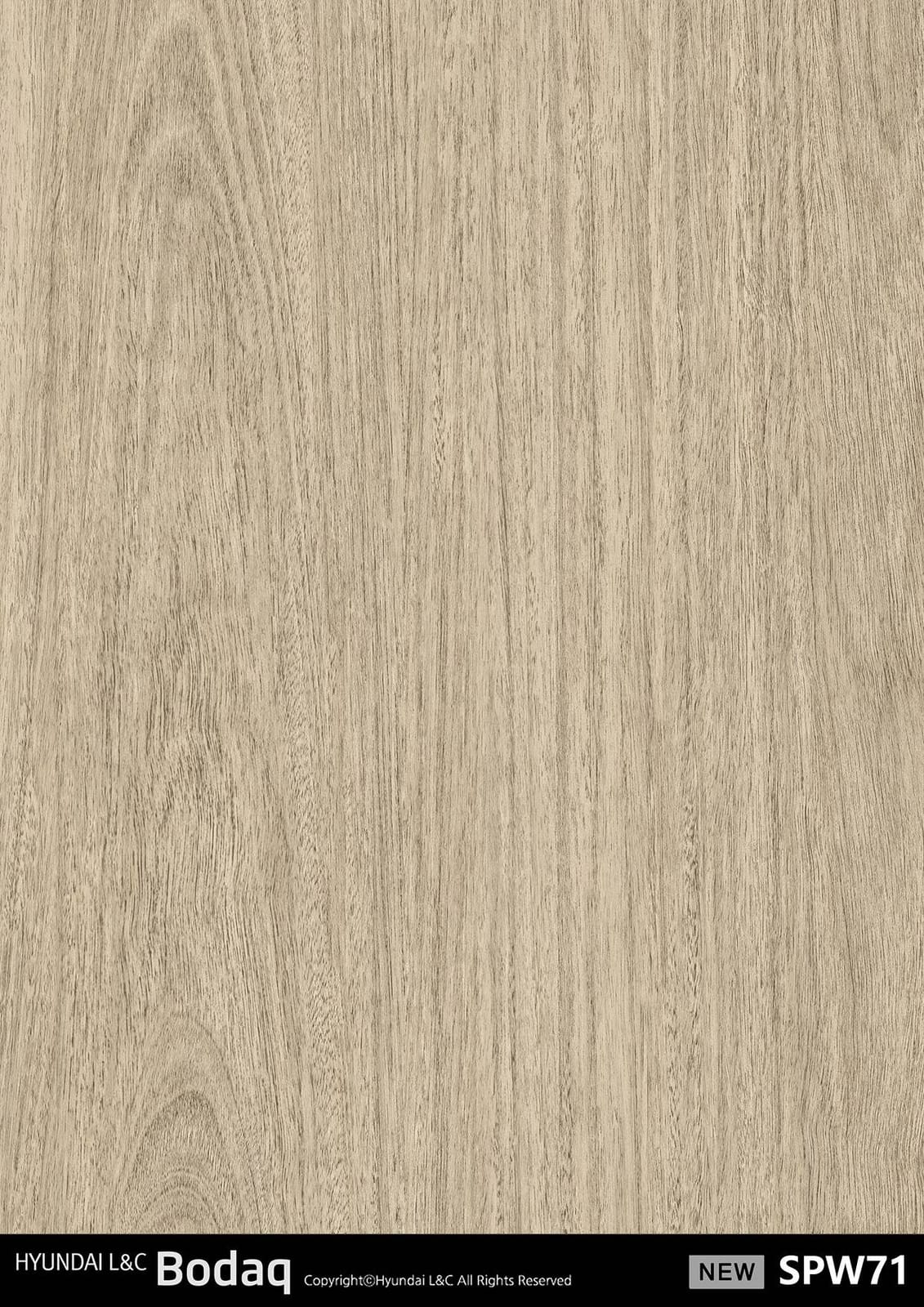 SPW71 Eucalyptus Light
